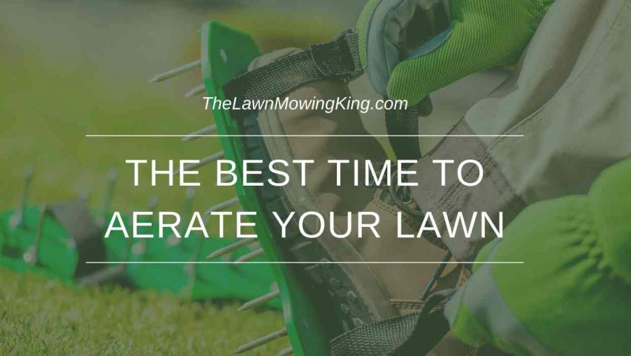 The Best Time to Aerate Your Lawn The Lawn Mowing King