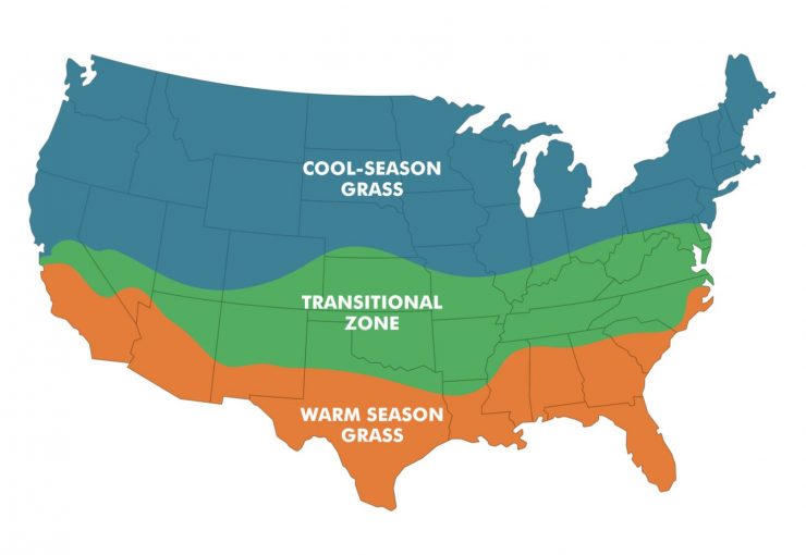Where To Buy Sod (Sod Near Me, and 5 More Places) The Lawn Mowing King